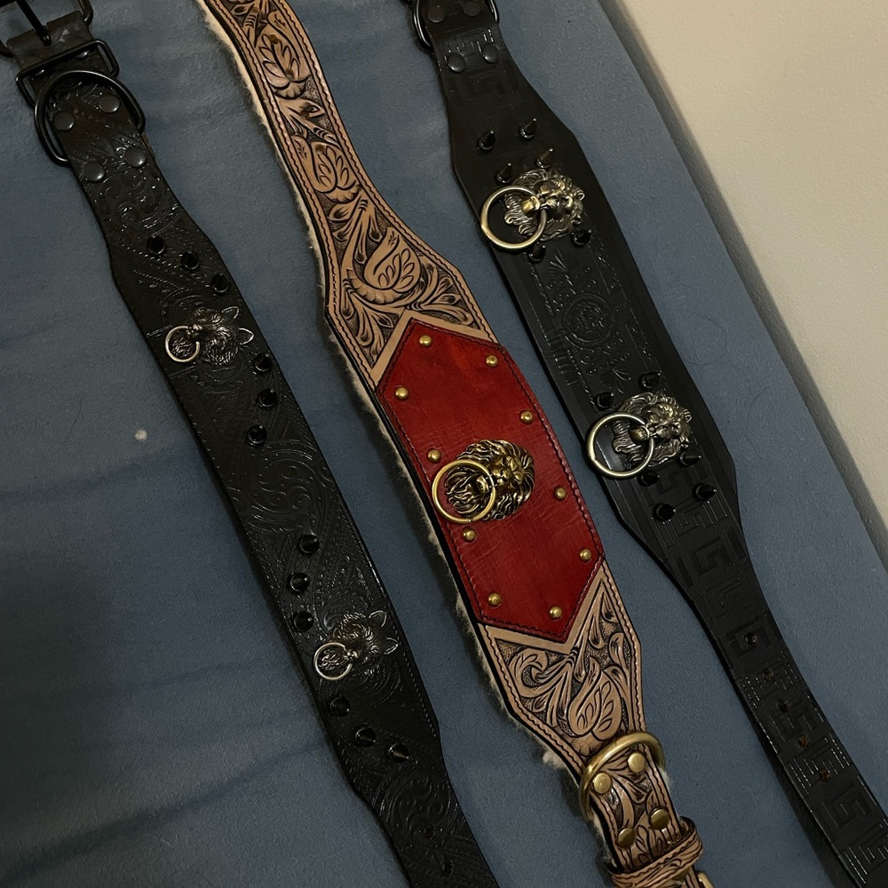 MyMadCow dog collar, The Cowardly Lion 2.0. Fits medium to large size. Leather